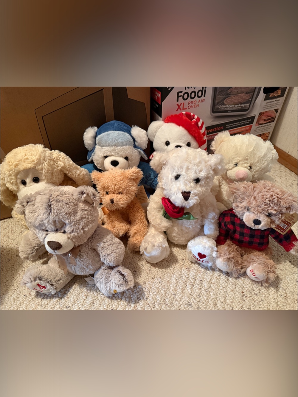 Plush White Teddy Bear with Red Rose - Soft Cuddly Kids Toy
